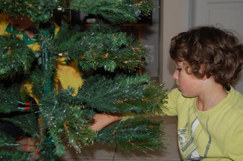 On commence à monter le sapin