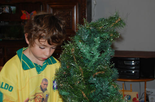 On commence à monter le sapin